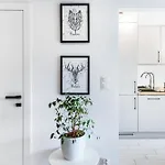 Parking & Balkon